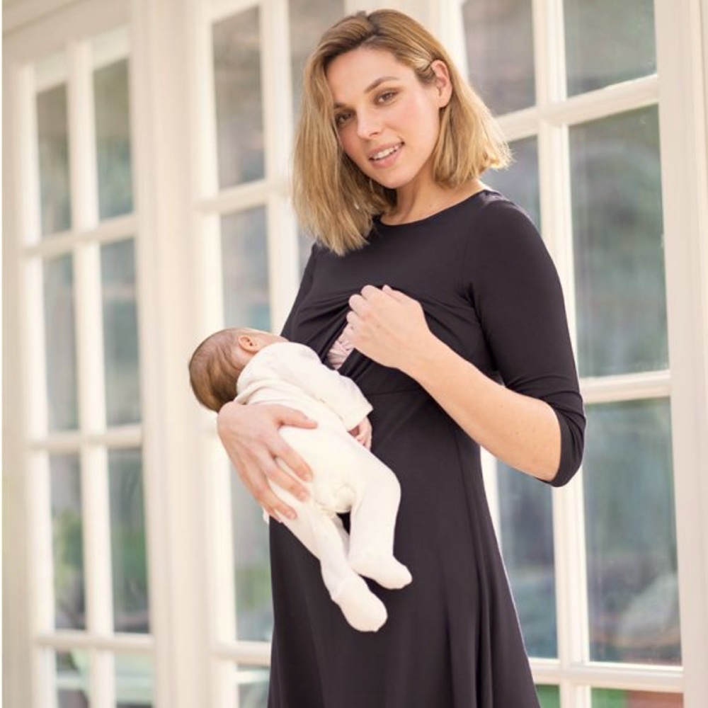 Seraphine Maternity / Nursing Flared Dress
